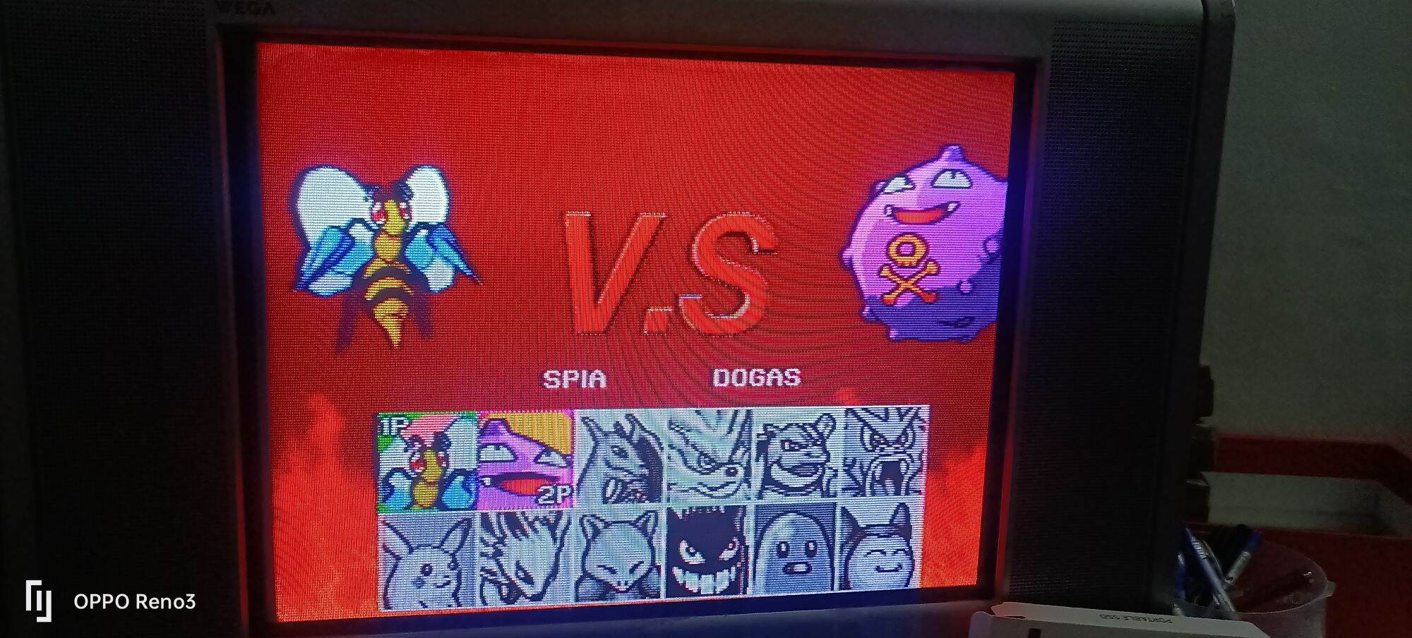 đĩa game ps2 Pokémon