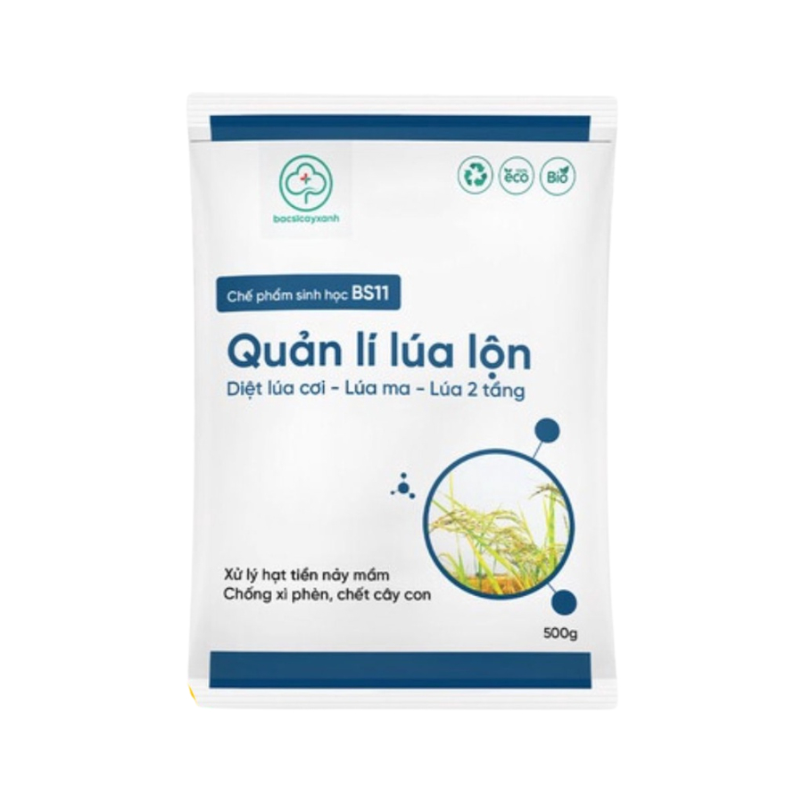 Chế phẩm sinh học BS11 xử lý lúa lộn, lúa cơi, lúa ma, lúa 2 tầng, chống xì phèn, chết cây con - Gói 500g
