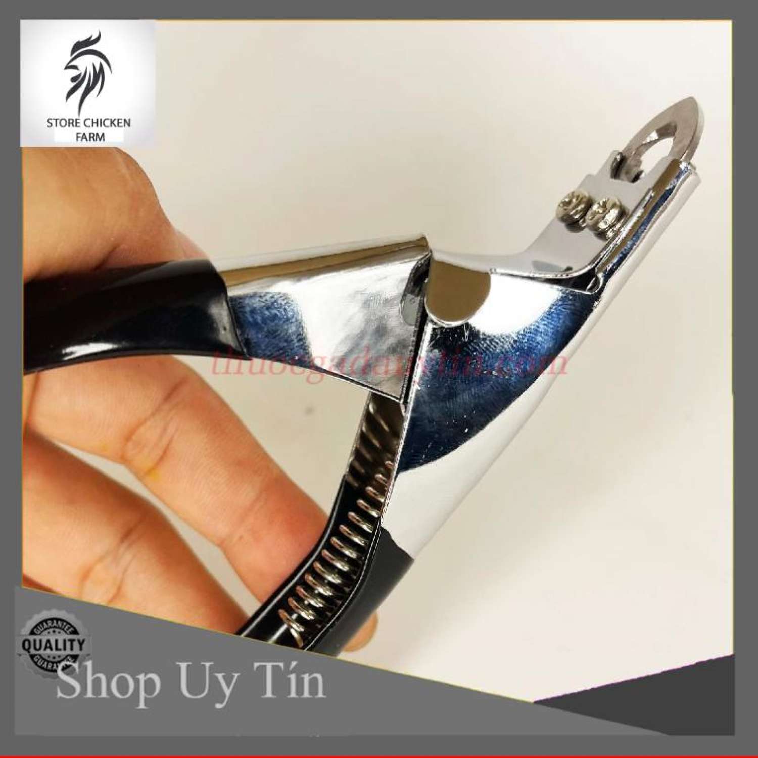 Kìm inox cắt cựa gà tre + gà nòi cao cấp nhập khẩu philipines
