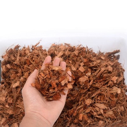 GIÁ THỂ VỎ DỪA KHÔ TRỒNG LAN (200G)