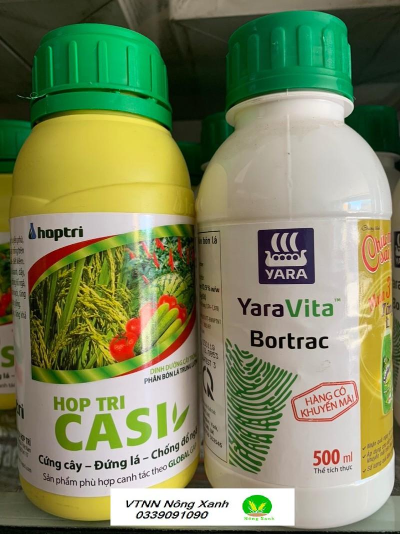 COMBO 1 Canxi Hợp Trí 500ml và 1 Botac hợp trí 500ml giúp tăng đậu quả cho cây Điều