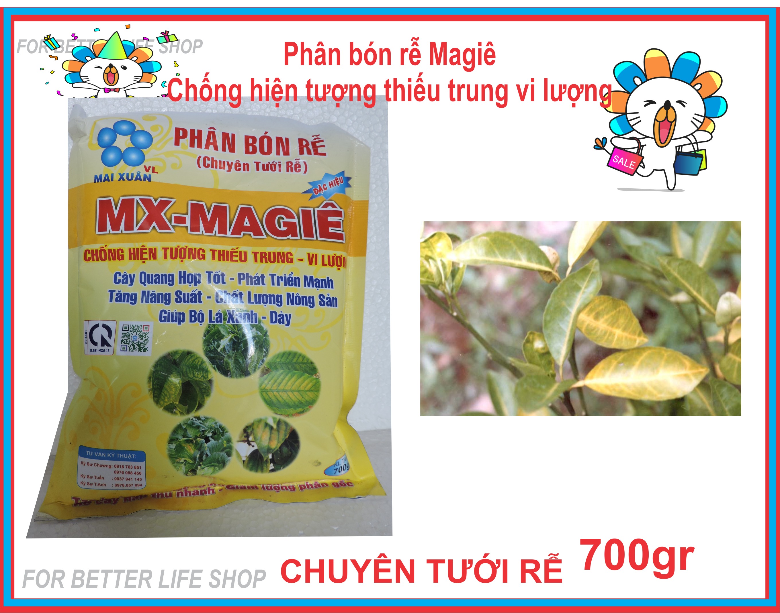 Phân Bón Rễ Vi Lượng  Magie gói 700gr