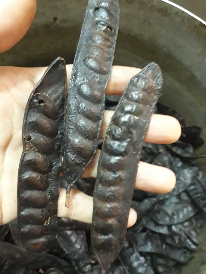 Bồ kết Rang Củi -0,5 KG