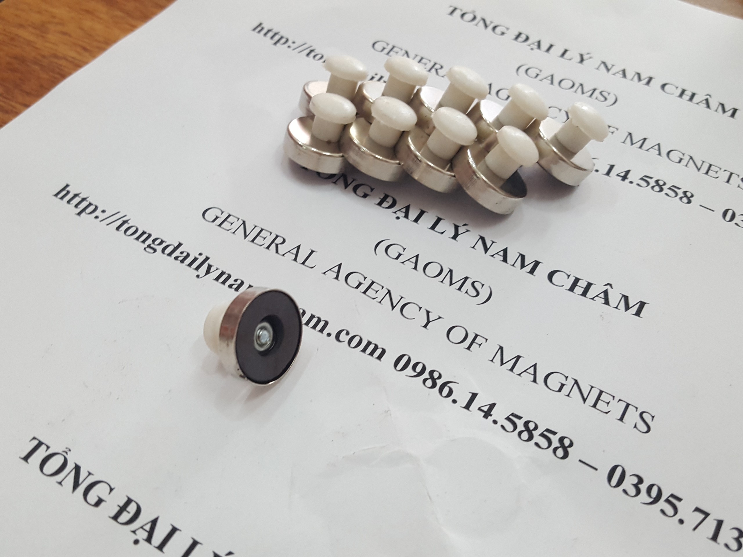 Nam châm đính bảng D16mm, có núm trắng- 20 cái