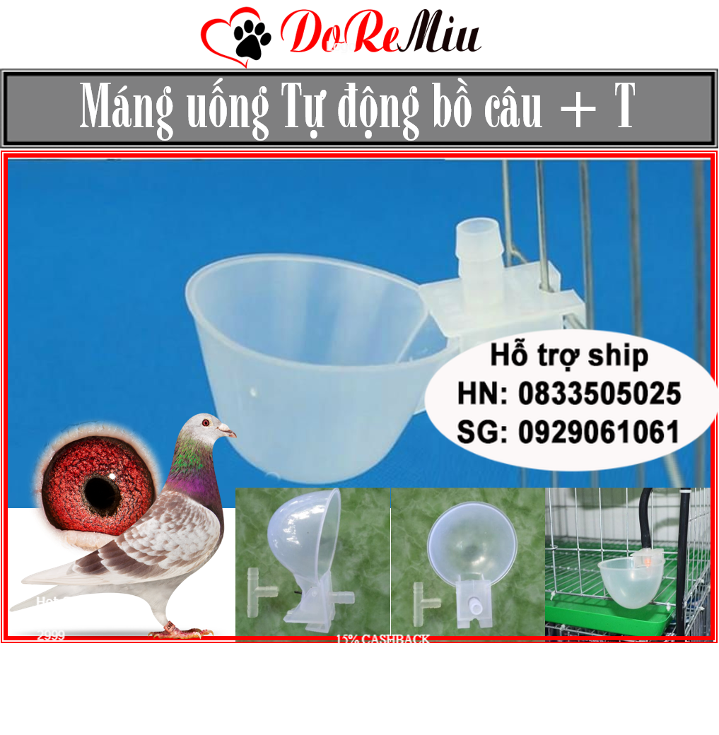 Doremiu- Bộ Máng uống bồ câu tự động (Chén kèm tút chữ T rẽ nhánh) bằng nhựa màu trắng siêu bền