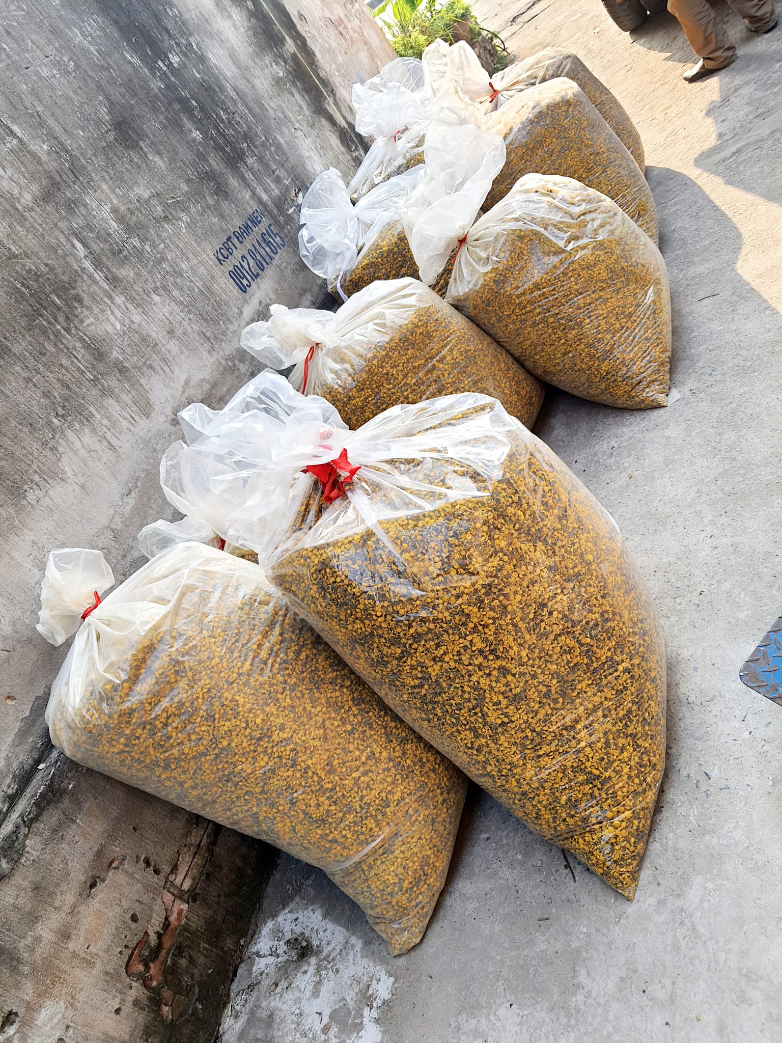 [HÀNG THƯỢNG HẠNG] 100g Trà Cúc Chi Sấy Lạnh