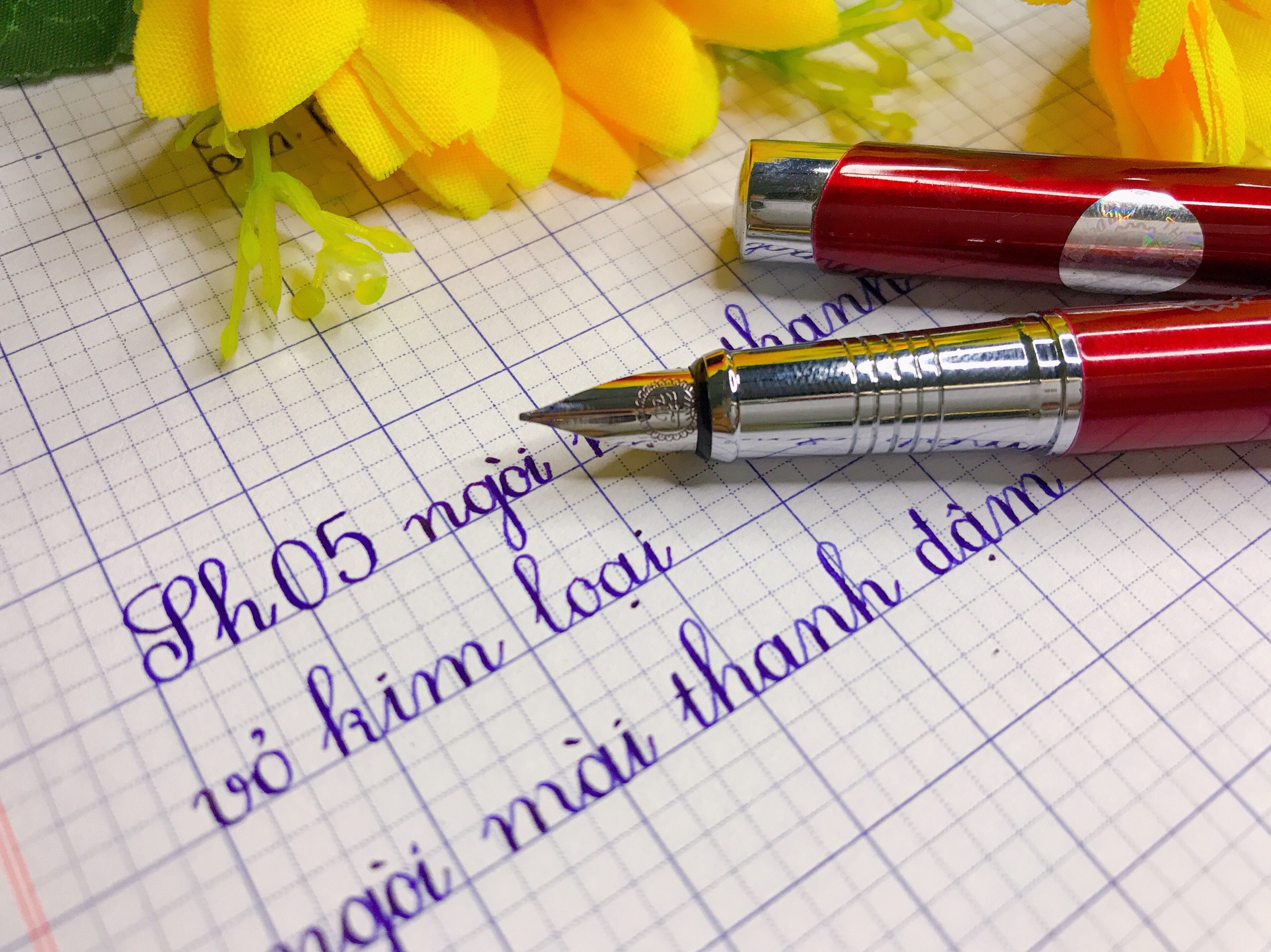 Bút máy Thầy Ánh SH005 ngòi mài thanh đậm