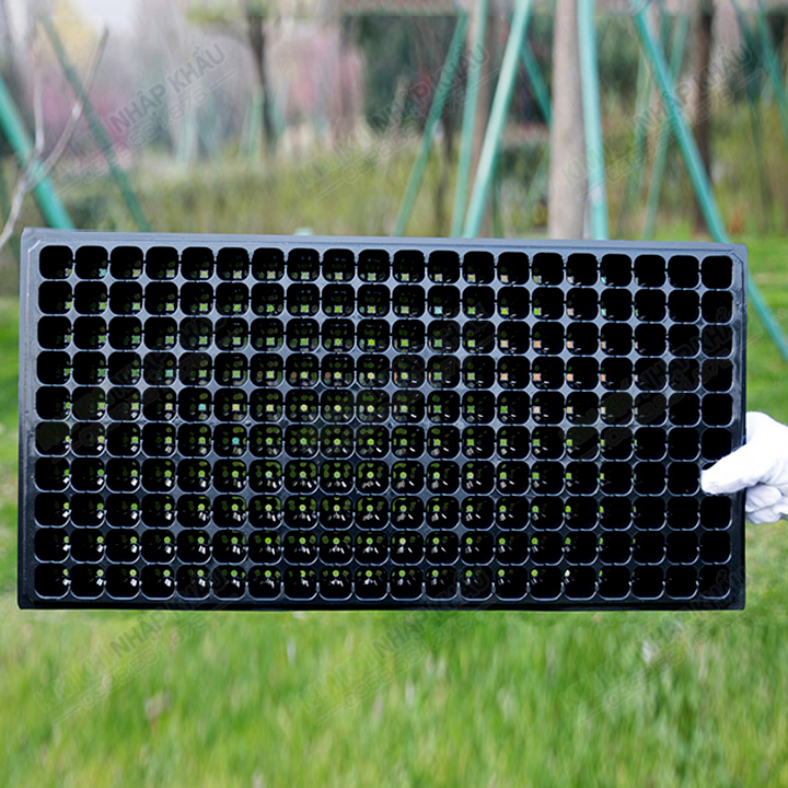 5 khay gieo hạt giống loại 200 lỗ