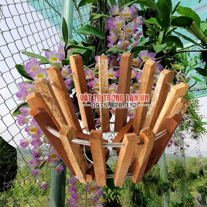 Chậu gỗ trồng Lan thanh vuông phi 20cm