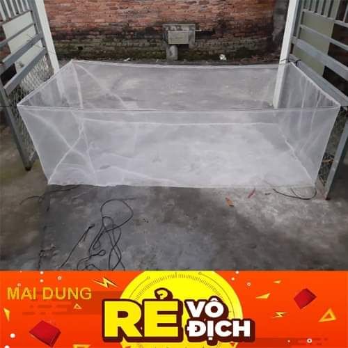 tráng nuôi ốc nhồi mới nở 2x1x0,6