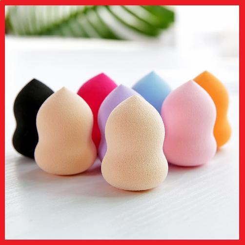 [HCM]BÔNG PHẤN HỒ LÔ