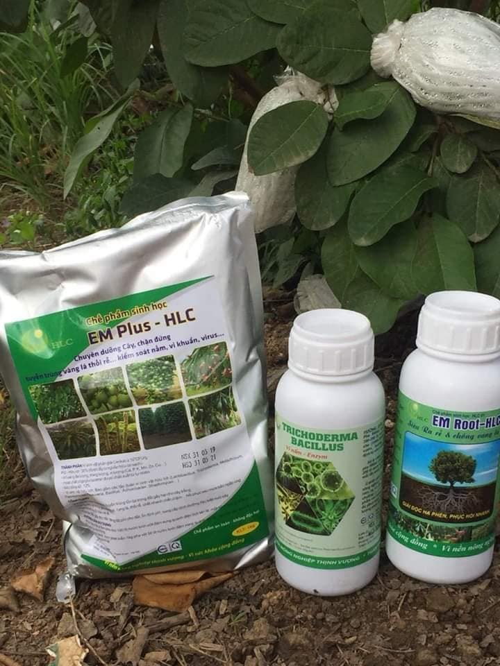 Chế phẩm sinh học TRICHODERMA - BACILLUS HLC 250ML