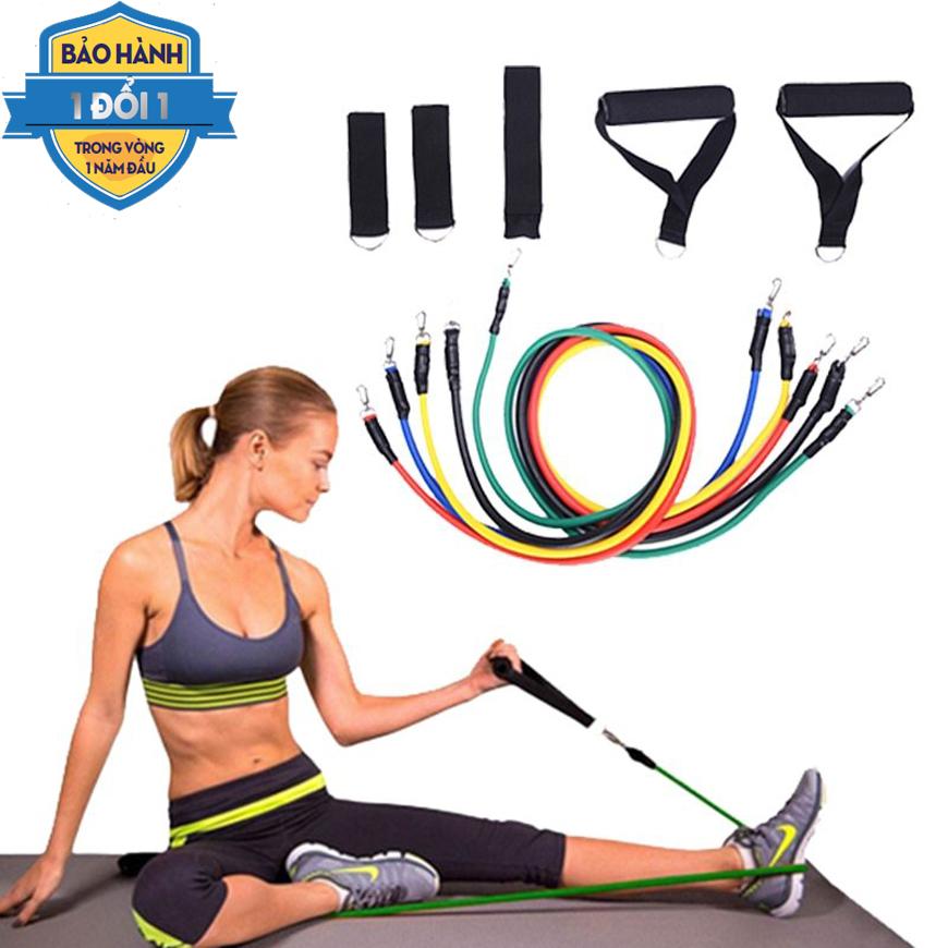 Dây Cao Su Tập GymBộ 5 Dây Đàn Hồi Tập Thể HìnhDây Đàn Hồi Tập Gym S1-D Bộ Dây Tập Thể Lực 5 MàuBộ 11 Chi Tiết Dây Tập Kháng Lực 100Lb Bảo Hành 1 Đổi 1 Trên Toàn Quốc