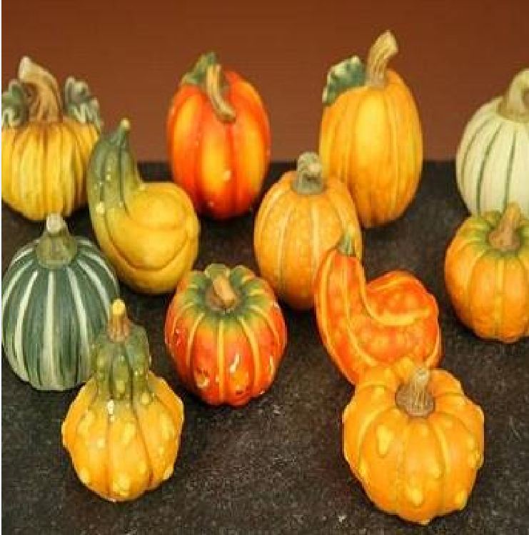 Hạt giống bí ngô mini mix ( bí đỏ tí hon nhiều màu ) 10 hạt/gói