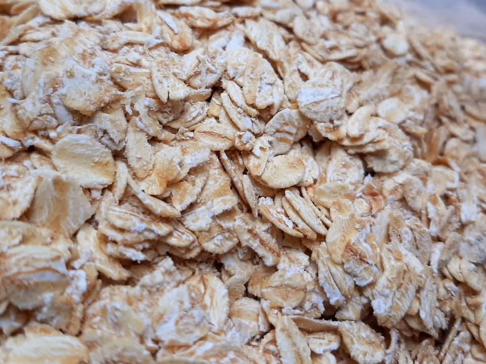 Yến mạch hamster