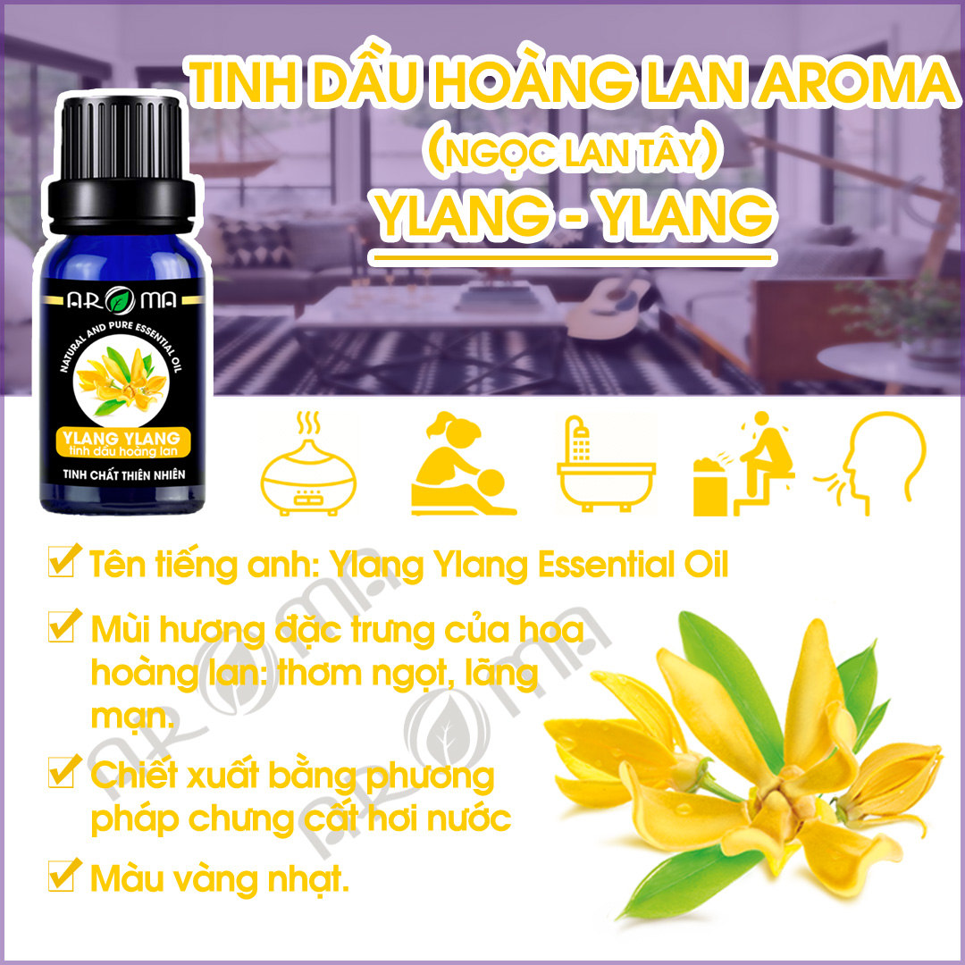 Tinh dầu Ngọc Lan Tây (Hoàng Lan) AROMA Y-Lang essential oil, tinh dầu thiên nhiên, chai kim cương tự khuếch tán treo ô tô, treo thơm phòng
