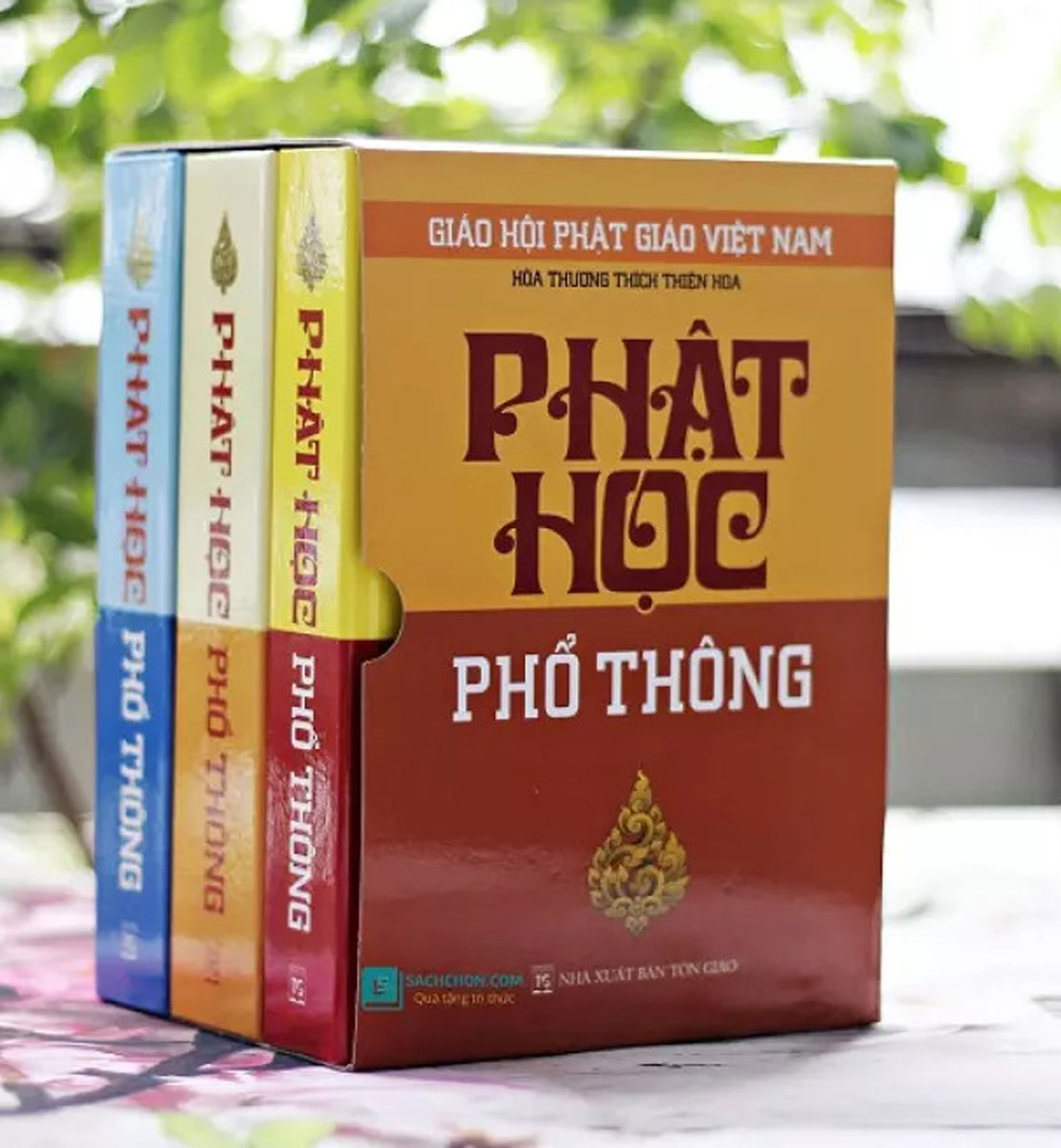 Combo Phật Học Phổ Thông (Trọn Bộ 3 Tập, QB) - Newshop