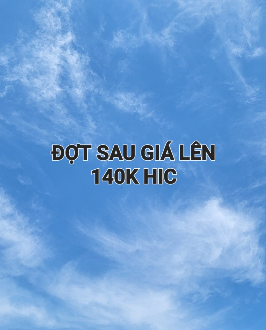"HUẾ" Dầu tràm đặc biệt Thiên Phúc