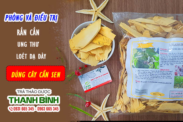 Cây Cần Sen Khô 1KG - Thảo Dược Thanh Bình