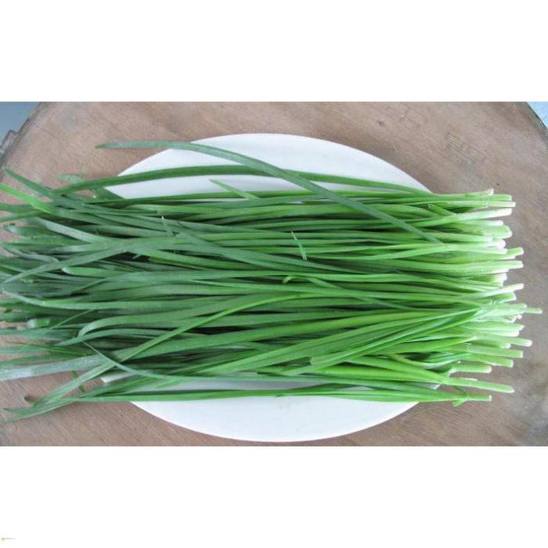 HẠT GIỐNG HẸ LÁ - GÓI 1 GRAM