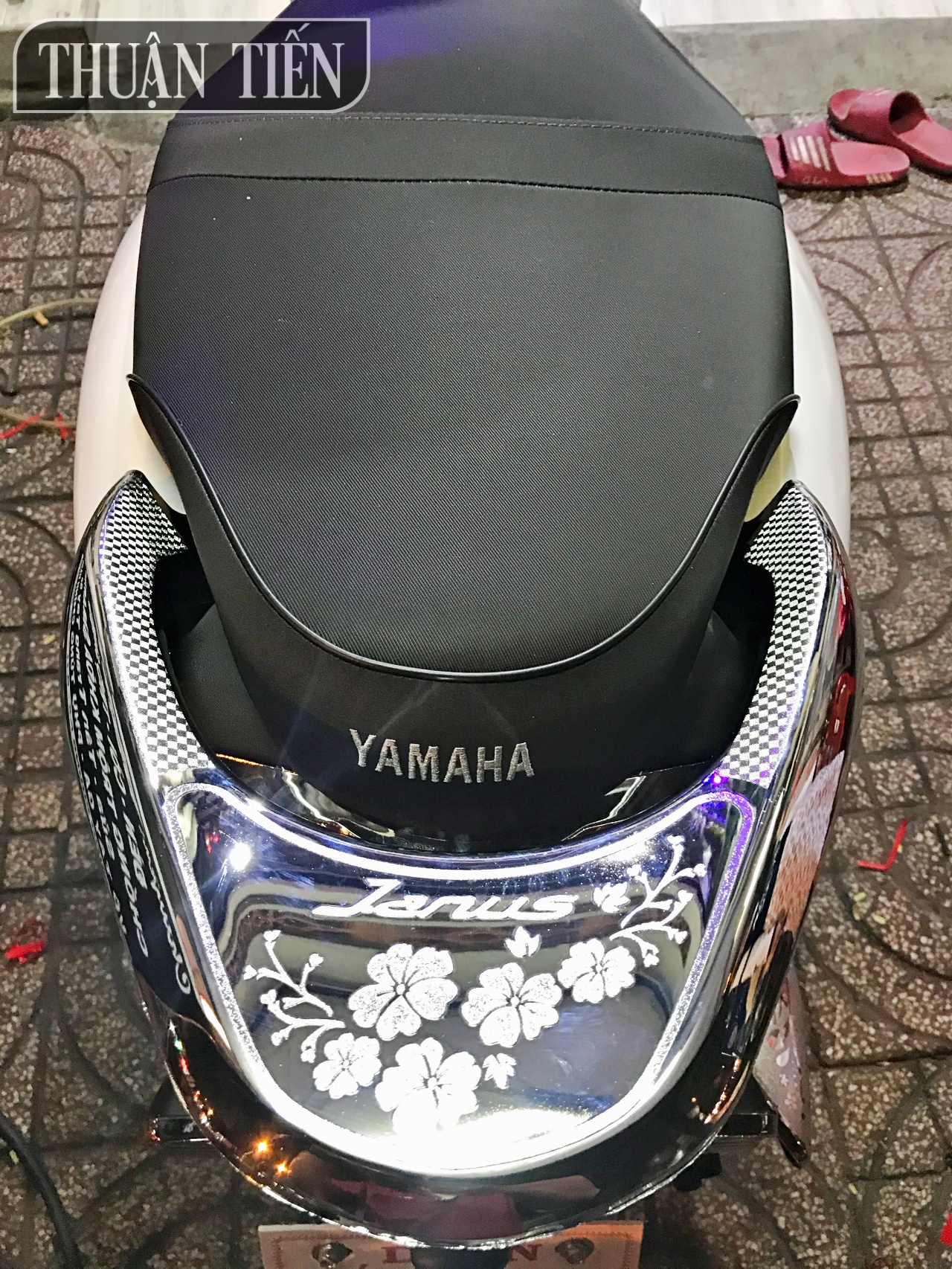 ỐP CẢNG JANUS NHỰA XI CAO CẤP