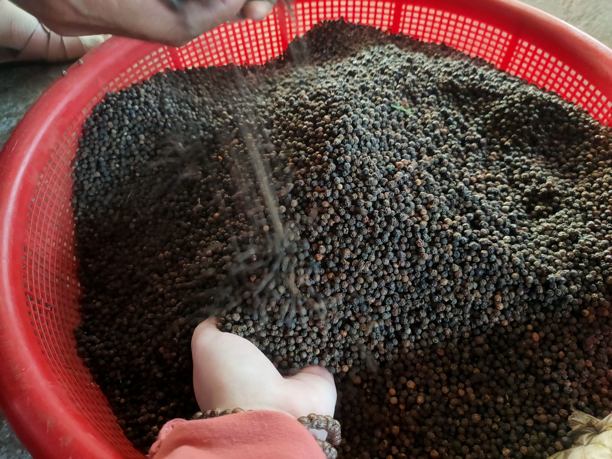[HCM]TIÊU ĐEN NGUYÊN HỘT NGUYÊN CHẤT HẢO HẠNG