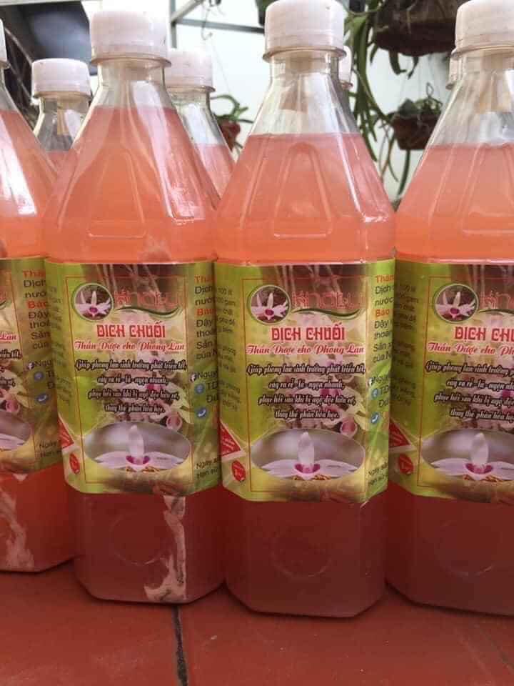 Dịch chuối chăm sóc cho Phong Lan 1 lít