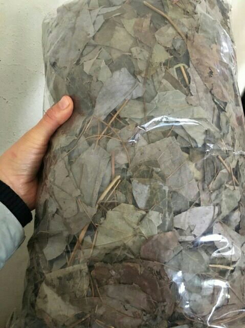 1kg lá dâm dương hoắc