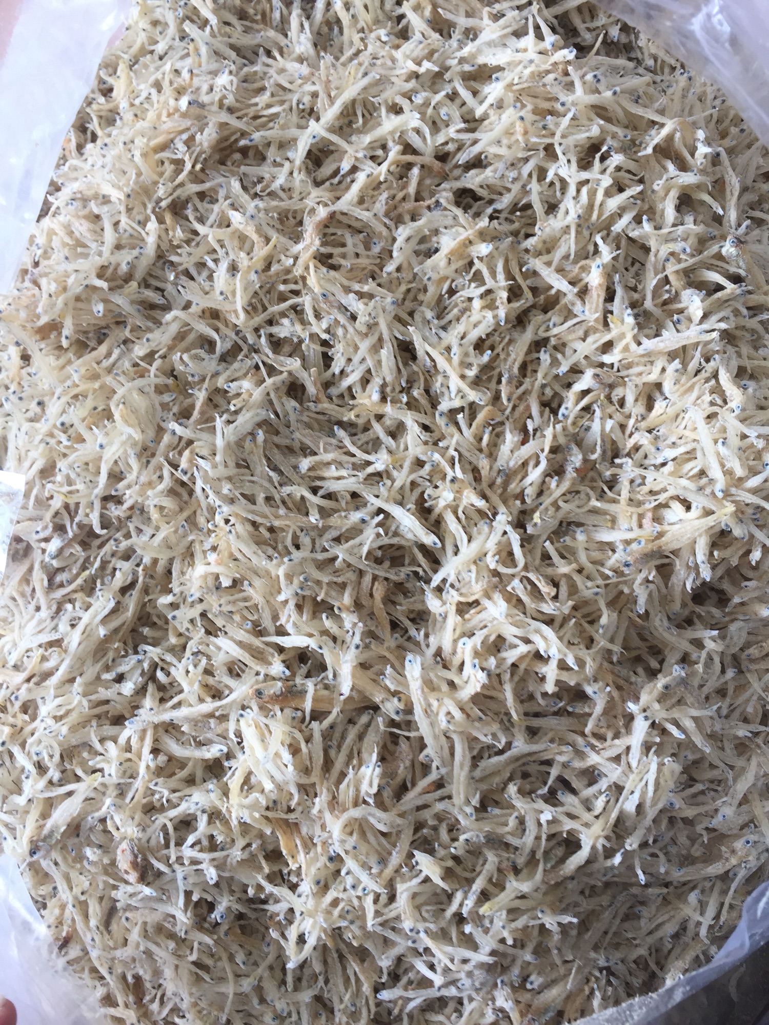 Cá cơm sữa (Phú Quốc)500g