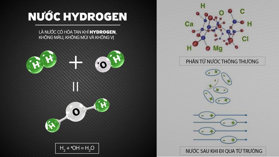 MÁY LỌC NƯỚC KANGAROO HYDROGEN KG100HC