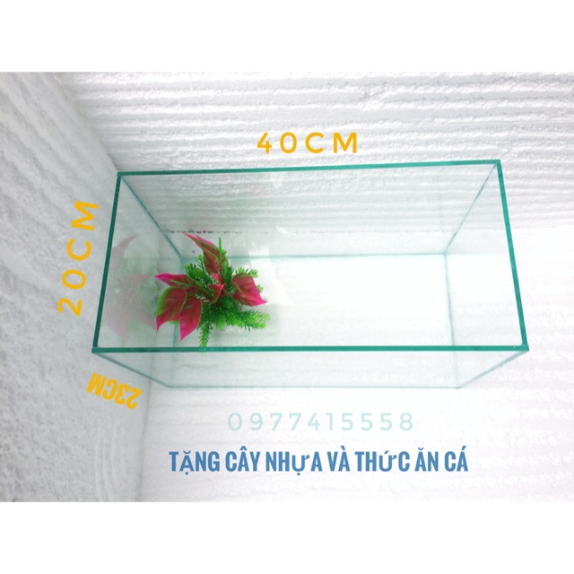 Bể cá size  40*20*23cm kèm đèn và lọc( tặng cây và thức ăn)