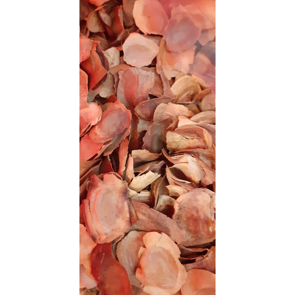 Hạt giống xà cừ