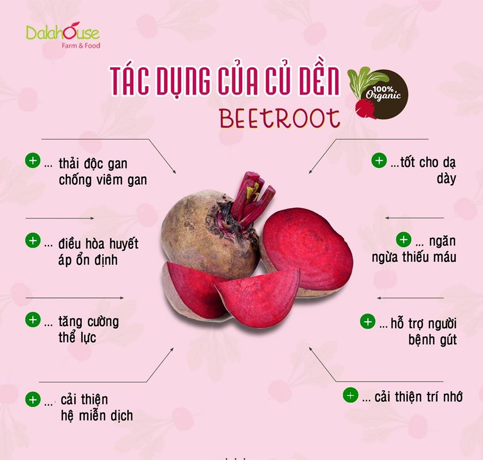 Bột củ dền nguyên chất Dalahouse bổ máu