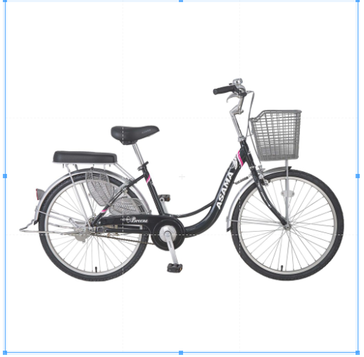 Xe đạp thời trang Asama CLD BR 2240