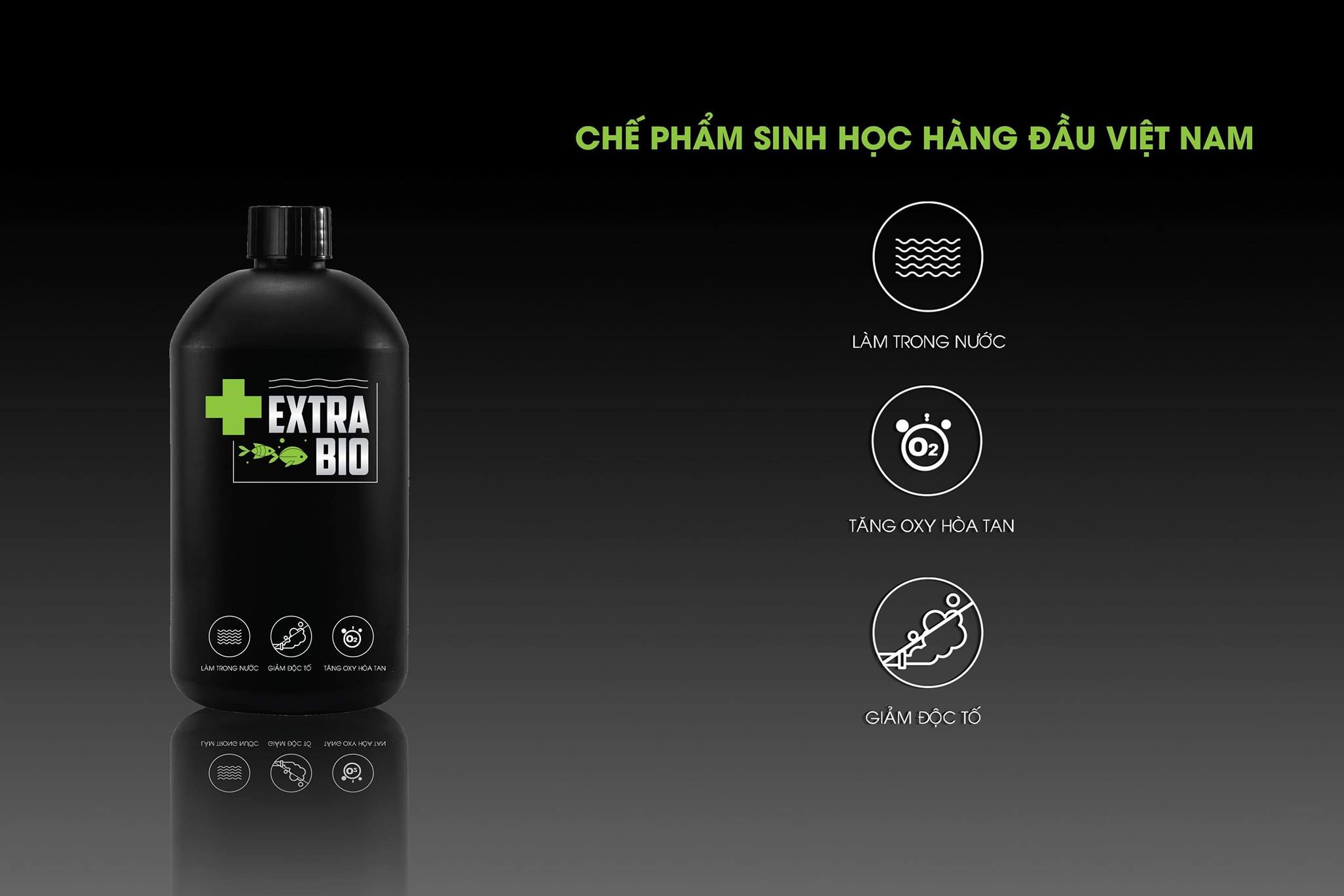 Extra bio làm trong nước , chế phẩm xử lý nước bể cá