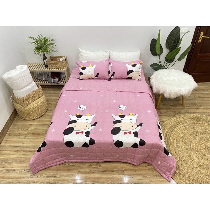 bộ chăn ga gối hè cotton poly mềm mại