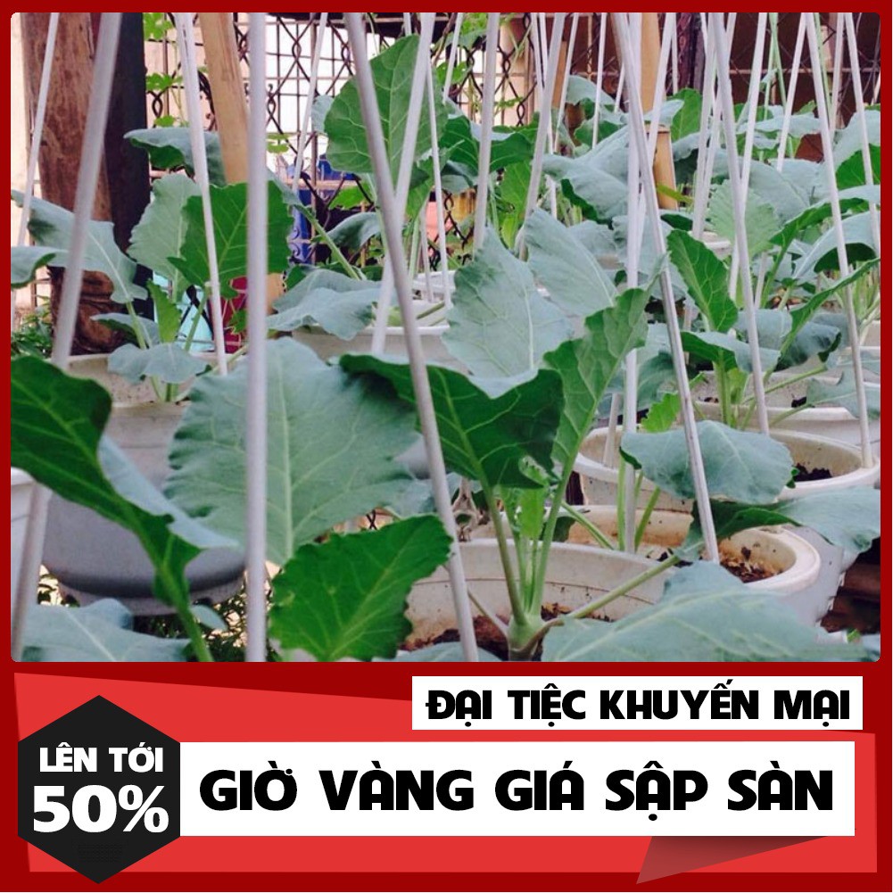 Hạt Giống Su Hào Phú Nông 2 Gram