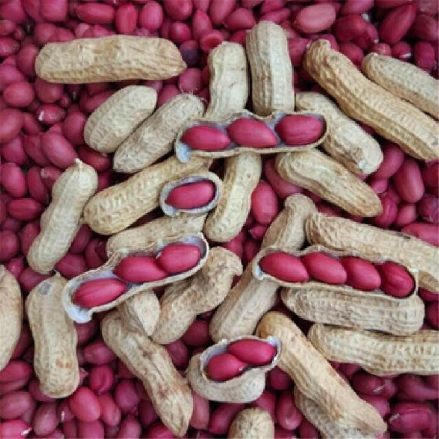 ĐẬU PHỘNG ĐỎ (LẠC ĐỎ) NHÂN (miền bắc) 500g