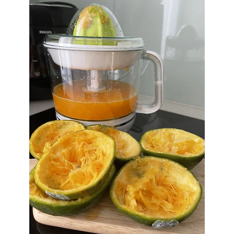 Máy vắt cam LocknLock Citrus Juicer EJJ244 - EJJ231 - 40W, 0.7L