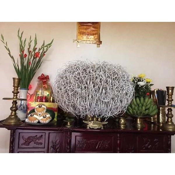 nhang trầm cuộn tàn (hình thật) 100 que(cây) 1 túi [mua 5 túi tặng 1 túi =6 túi {600 nén }]