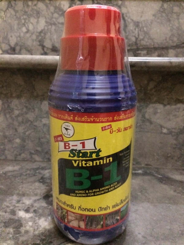 Vitamin B1 Thái Lan 1 lít dành cho hoa lan cây cảnh