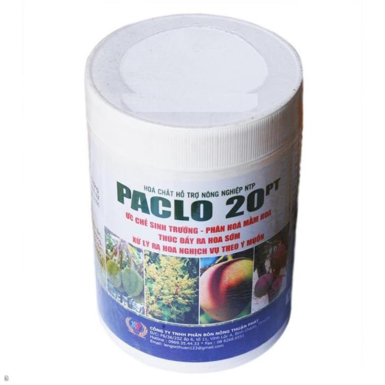 Phân bón xử lí ra bông nghịch mùa cho xoài sầu riêng paclo 20pt 1kg