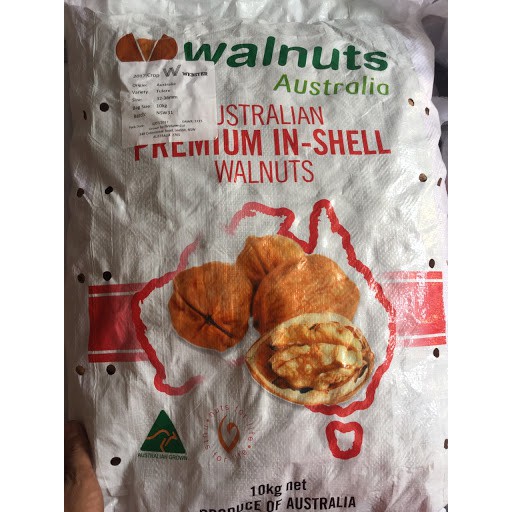NHÂN QUẢ ÓC CHÓ MỸ 500g