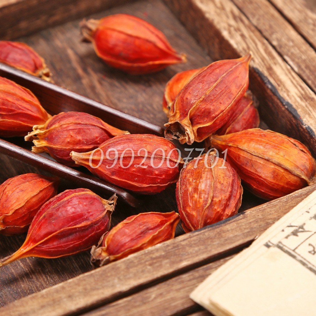 Hạt Dành Dành, Hạt Chi Tử khô Loại Ngon