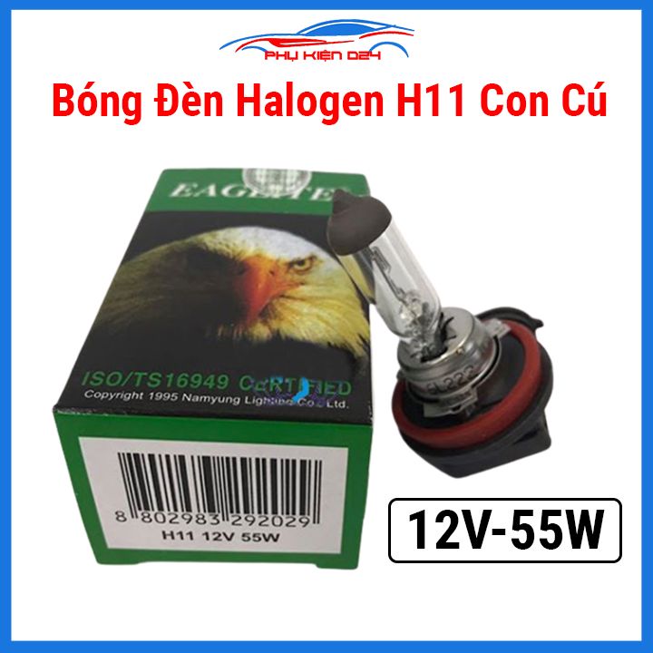 Bóng đèn gầm ô tô h11 12v 55w con cú halogen
