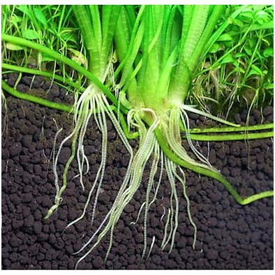 Đất nền thủy sinh Mekong II, phân nền S.Mêkông II (túi 2kg)