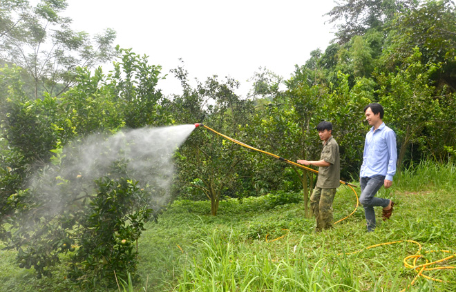 Thiết Bị Trộn Phân