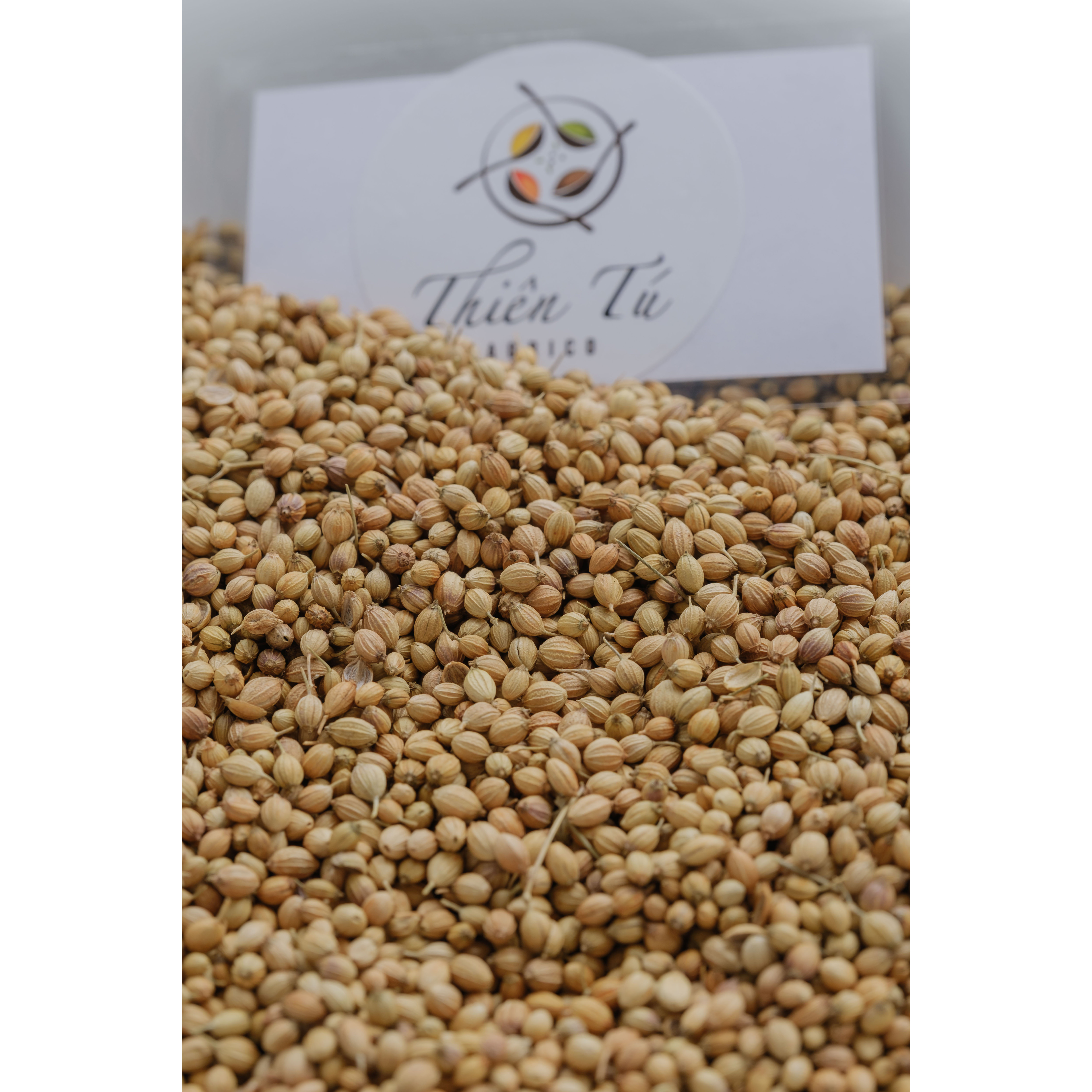[HCM]GIA VỊ HẠT NGÒ LỚN - HẠT RAU MÙI 1KG