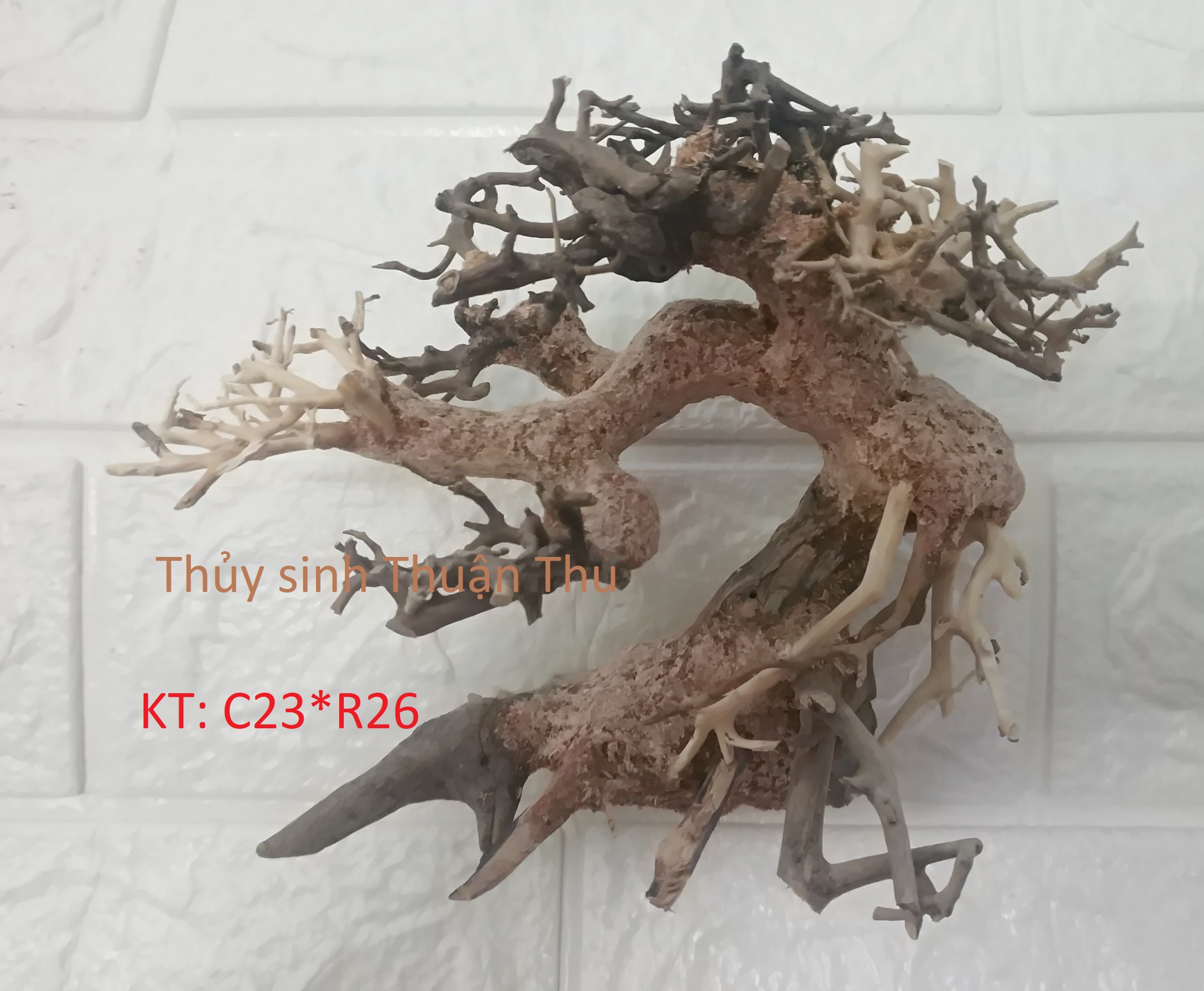 Lũa Bonsai  trang trí bể Thủy Sinh đẹp (lũa ghép)