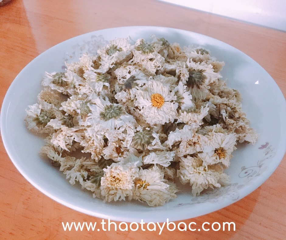 Trà hoa cúc trắng - Thảo Tây Bắc - 100gram